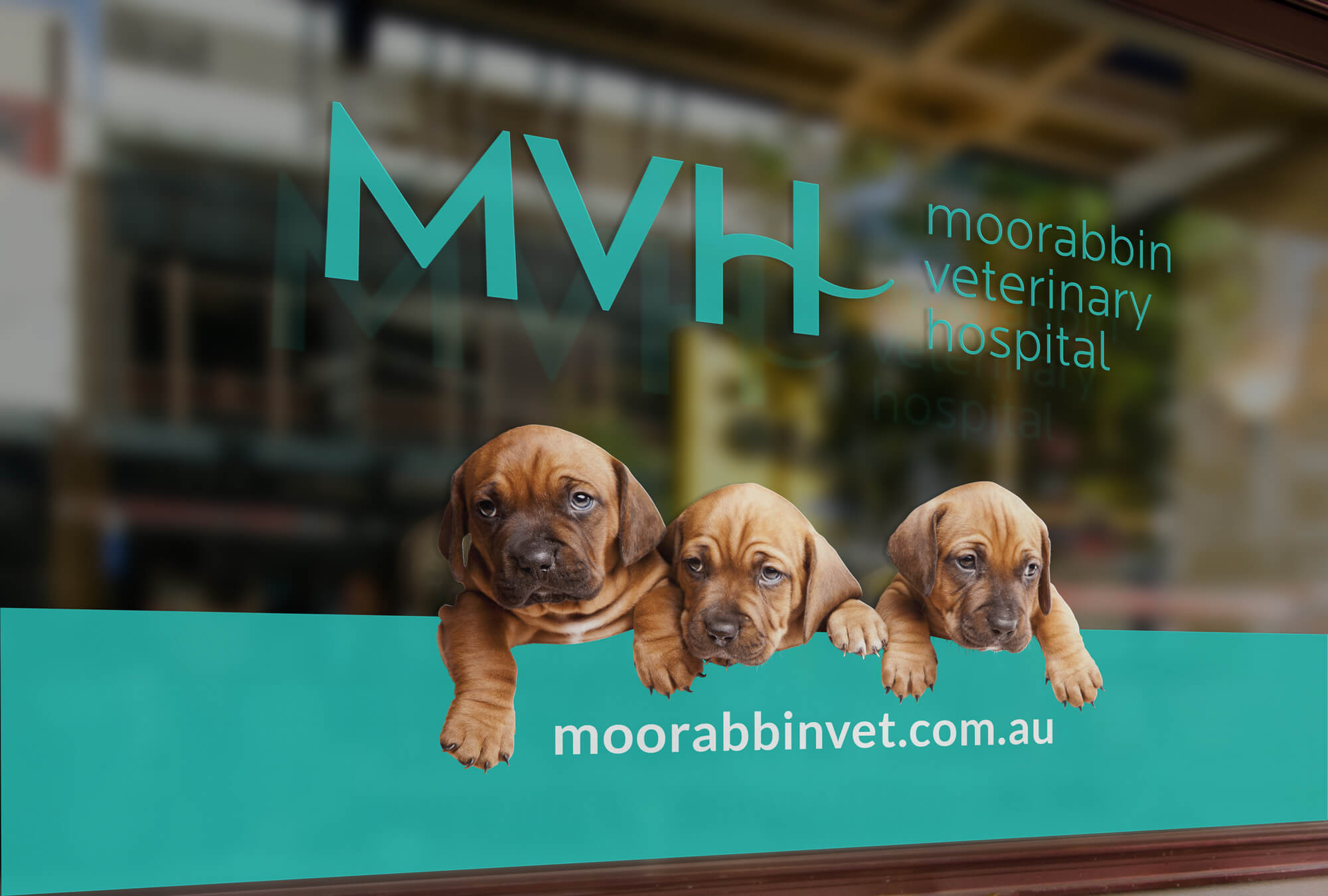 Mvh Window Signage